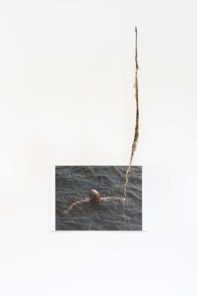 Utitled, 2019, foto, capelli, cera - Matilde Sambo - courtesy of the artist and aA29 Project Room