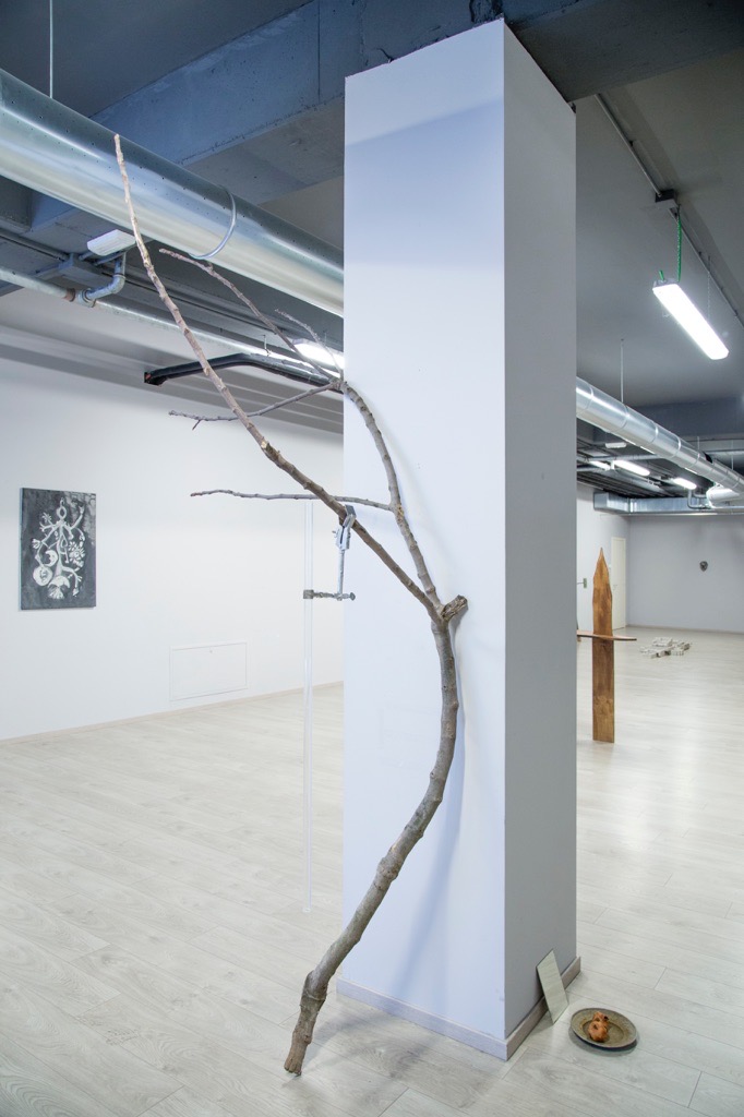 24 Giugno, 2017, installation view Spazio Manouno Treviglio, Luna Ruta, Tuono, Quercia - Edoardo Manzoni - courtesy of the artist
