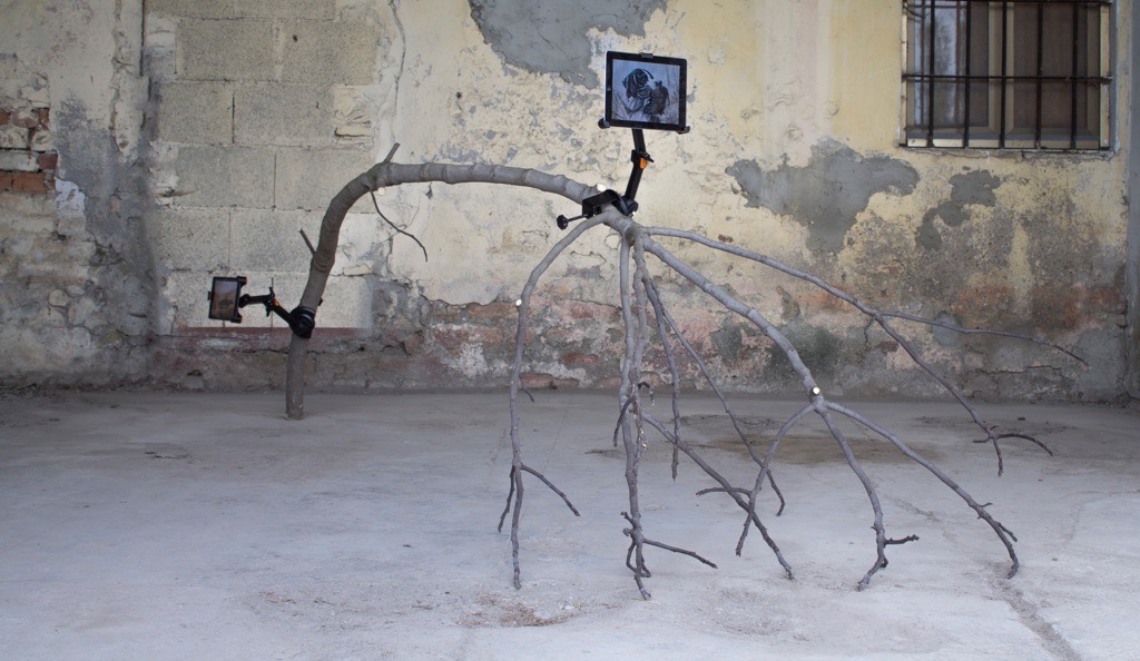 Settembre, 2017, ramo, staffa, tablet, immagine digitale - Edoardo Manzoni - courtesy of the artist