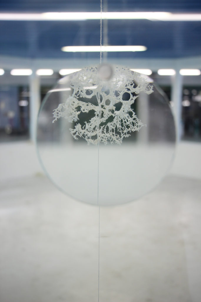 Tegmen, fotografia di Cristiano Rizzo - Giulia Lanza - courtesy of the artists