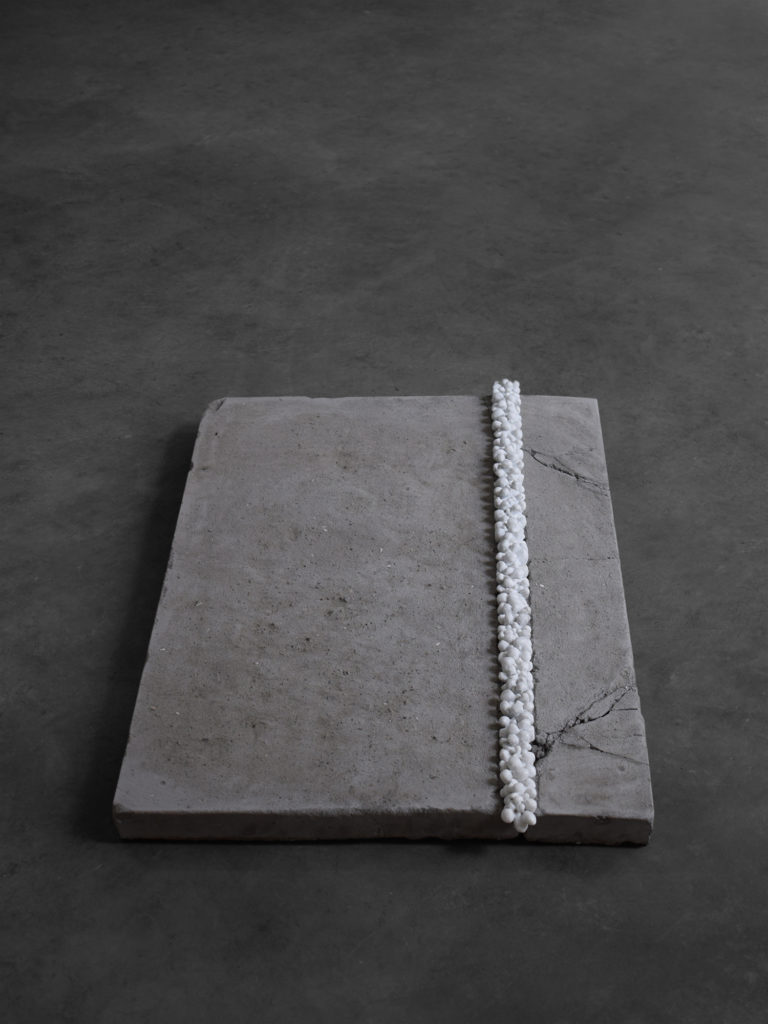 Mucillagine, 2019, Michela Zanini