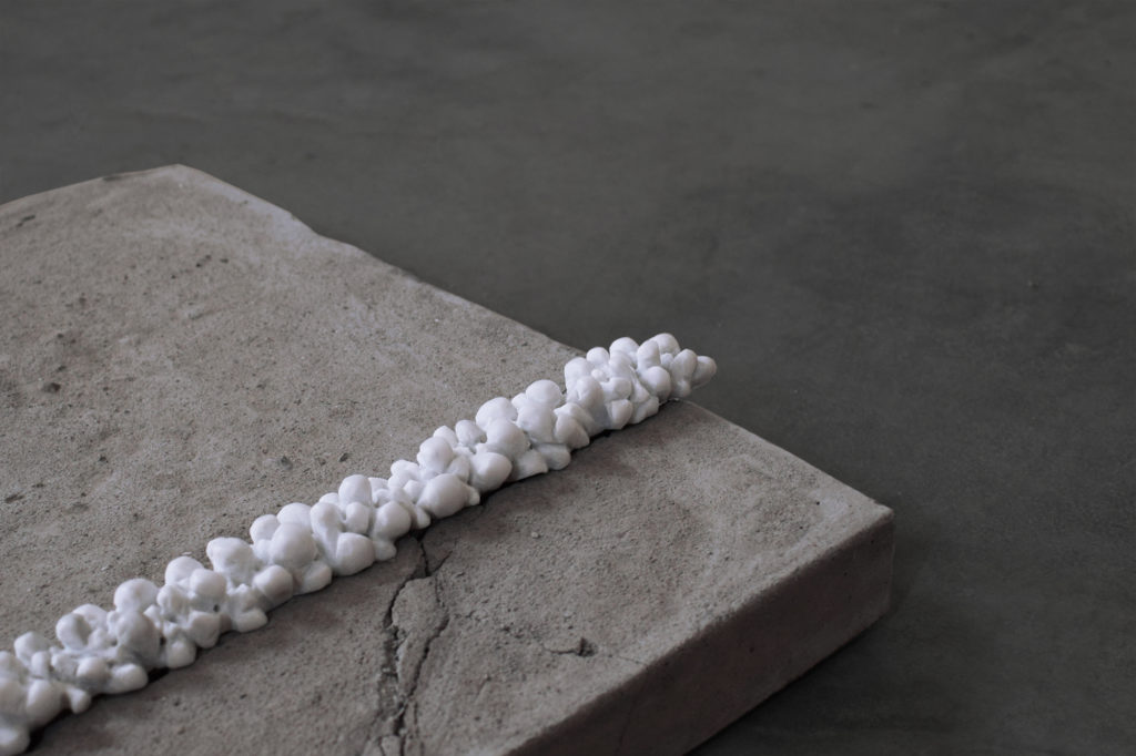 Mucillagine, 2019, Michela Zanini