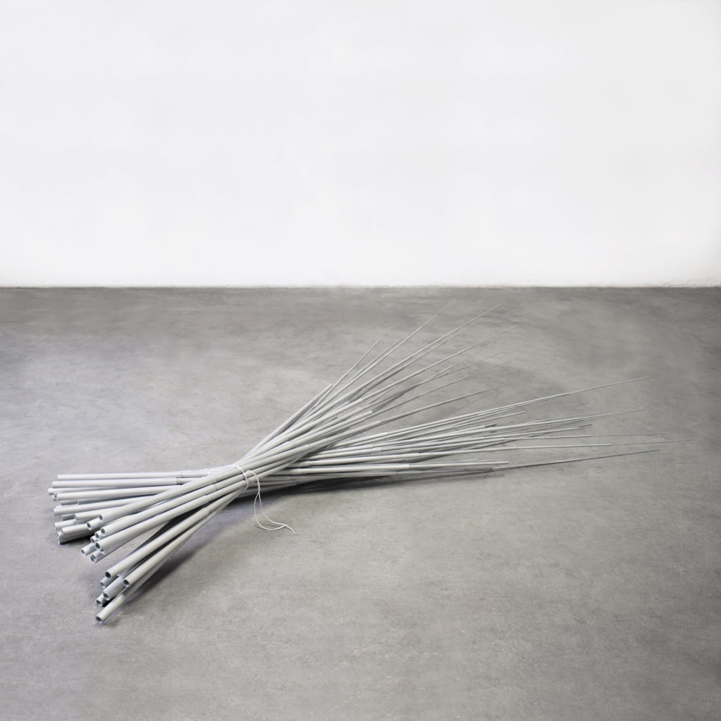 Raccolto, 2020 - Michela Zanini - courtesy of the artist