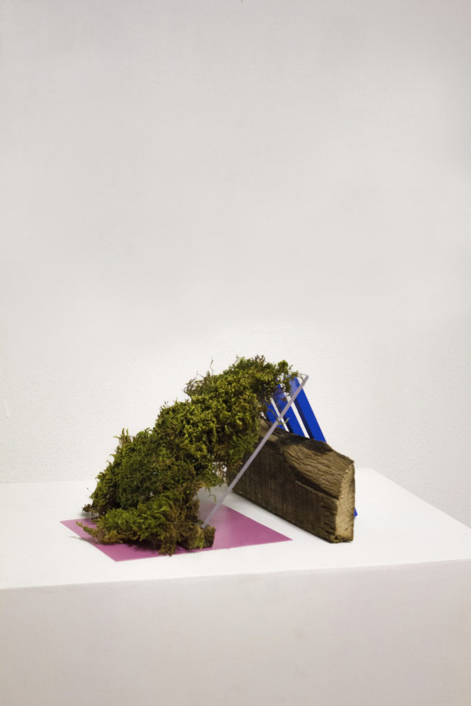 Piccole case, 2020 - Laura Guastini - courtesy of the artist
