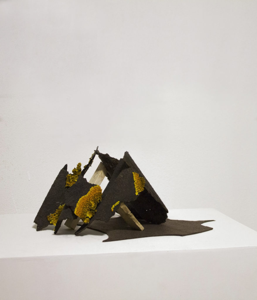 Piccole case, 2020 - Laura Guastini - courtesy of the artist