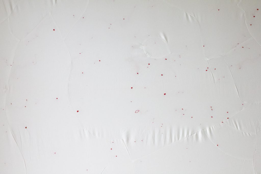 Il Contatto, 2017 - Laura Guastini - courtesy of the artist