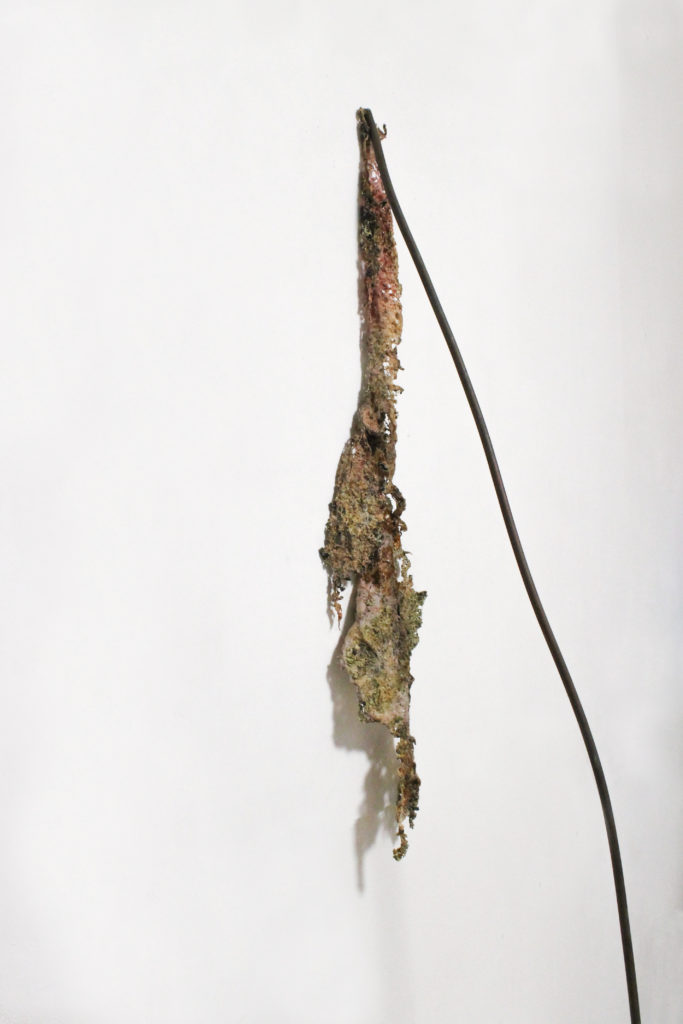 Pelli, Something that never happened, 2020 - Laura Guastini - courtesy of the artist