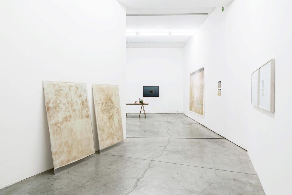Corpo Lieve - Cenere di Vaia su carta cotone, 2019. Carta cotone, cenere, vetro, binario in legno, morsetti. 160 x 104 cm Serie di 6 Pz. - fotografia di Valerio Torrisi - Miriam Montani - courtesy of the artists