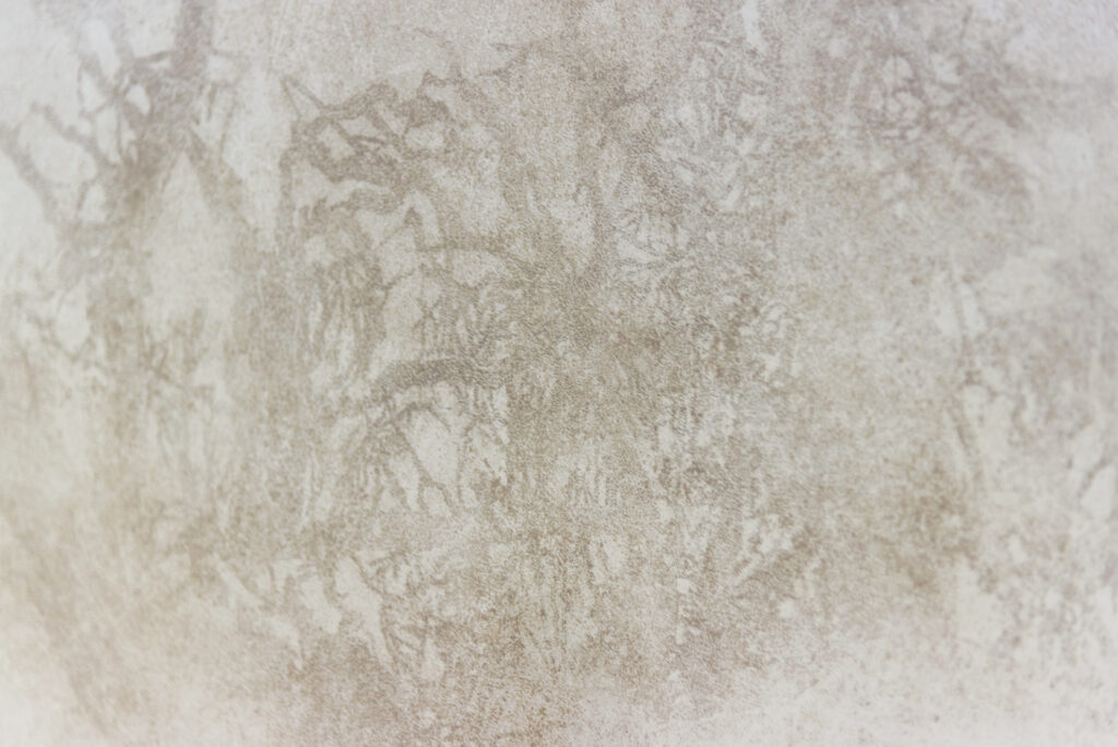 Corpo Lieve - Cenere di Vaia su carta cotone, 2019. Carta cotone, cenere, vetro, binario in legno, morsetti. 160 x 104 cm Serie di 6 Pz. - fotografia di Valerio Torrisi - Miriam Montani - courtesy of the artists