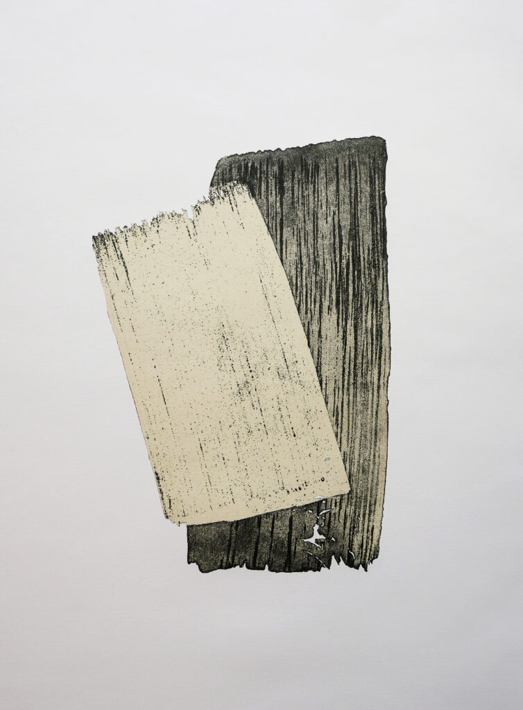 Cinaesthetica, 2017, acquaforte su alluminio, 50x70 cm - Lucia Bonomo - courtesy of the artist