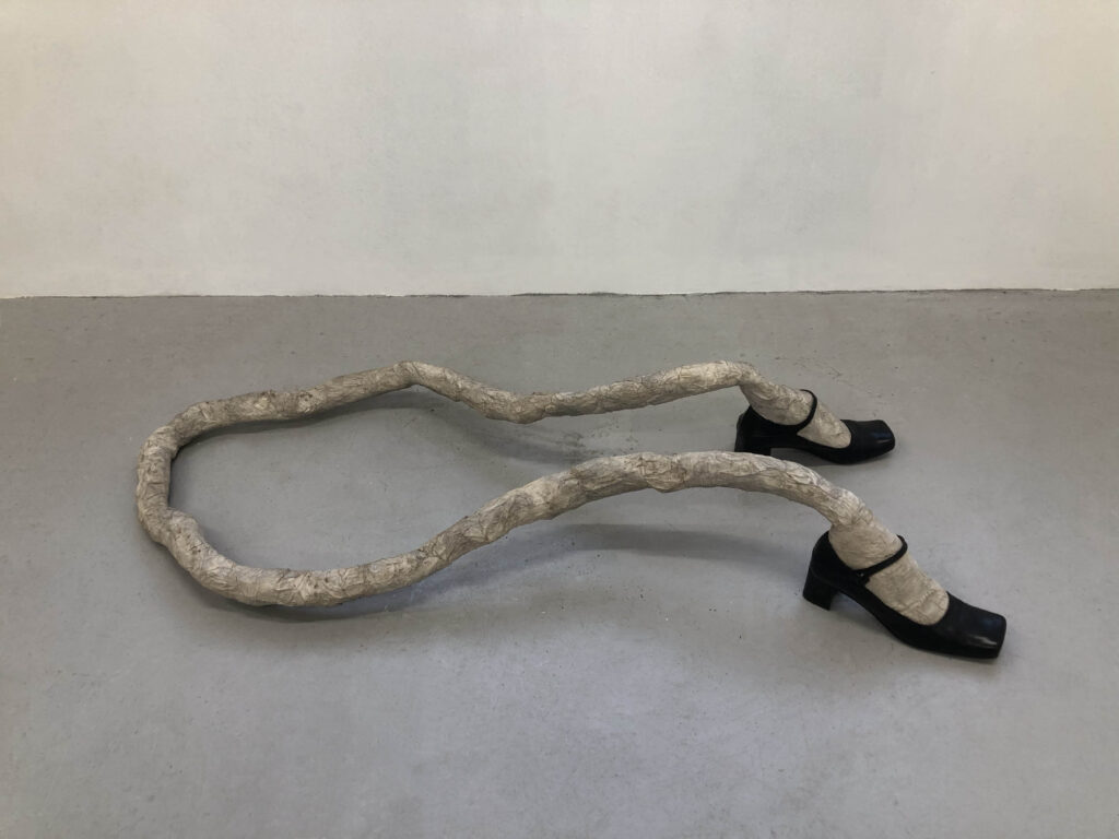 Feet, 2019, mixed media - SALVATORE PIONE -courtesy of the artist