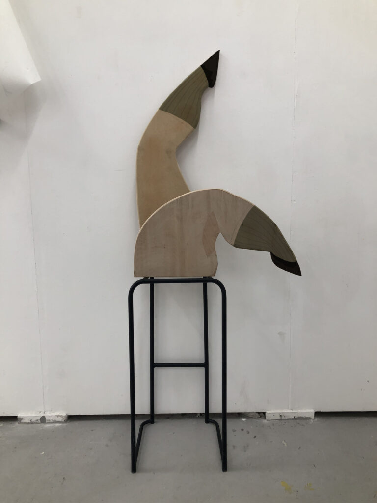 Stampelle, 2020, mixed media - SALVATORE PIONE - courtesy of the artist