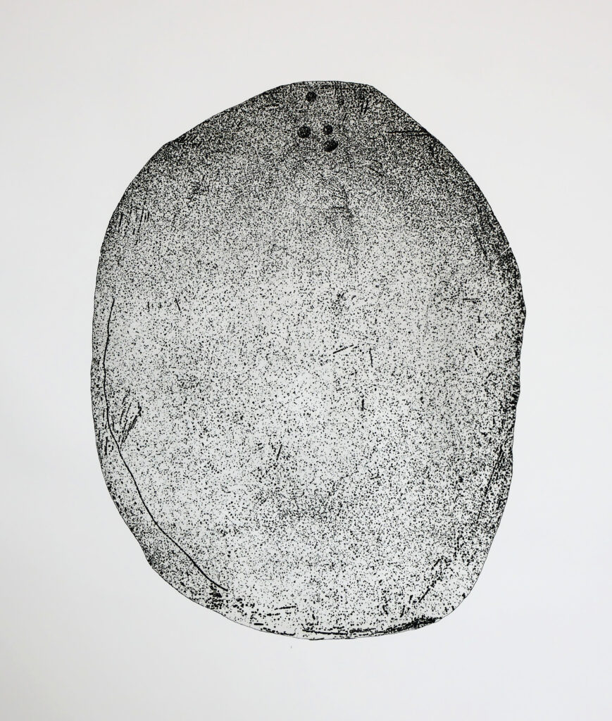 Taiga (delle rocce e degli steli), 2018, acquaforte su alluminio, 70x100 cm - Lucia Bonomo - courtesy of the artist