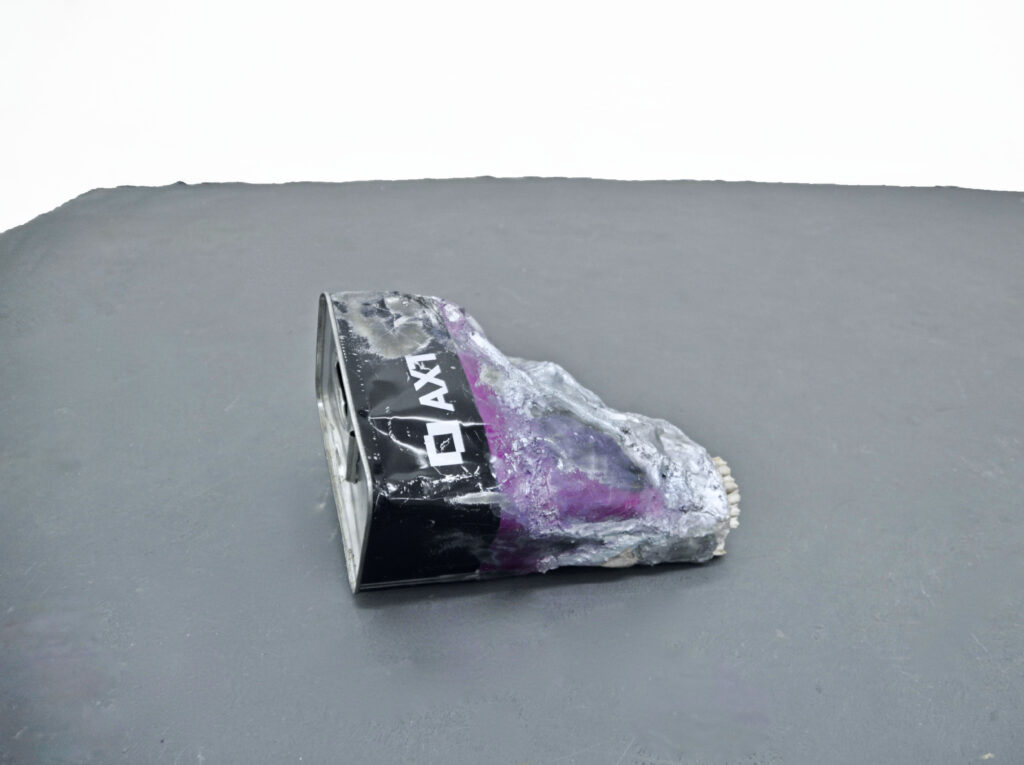 Totally Other 2020. alluminio, silicone,smalto acciaio, pietra, denti - Emanuele Resce - courtesy of the artist