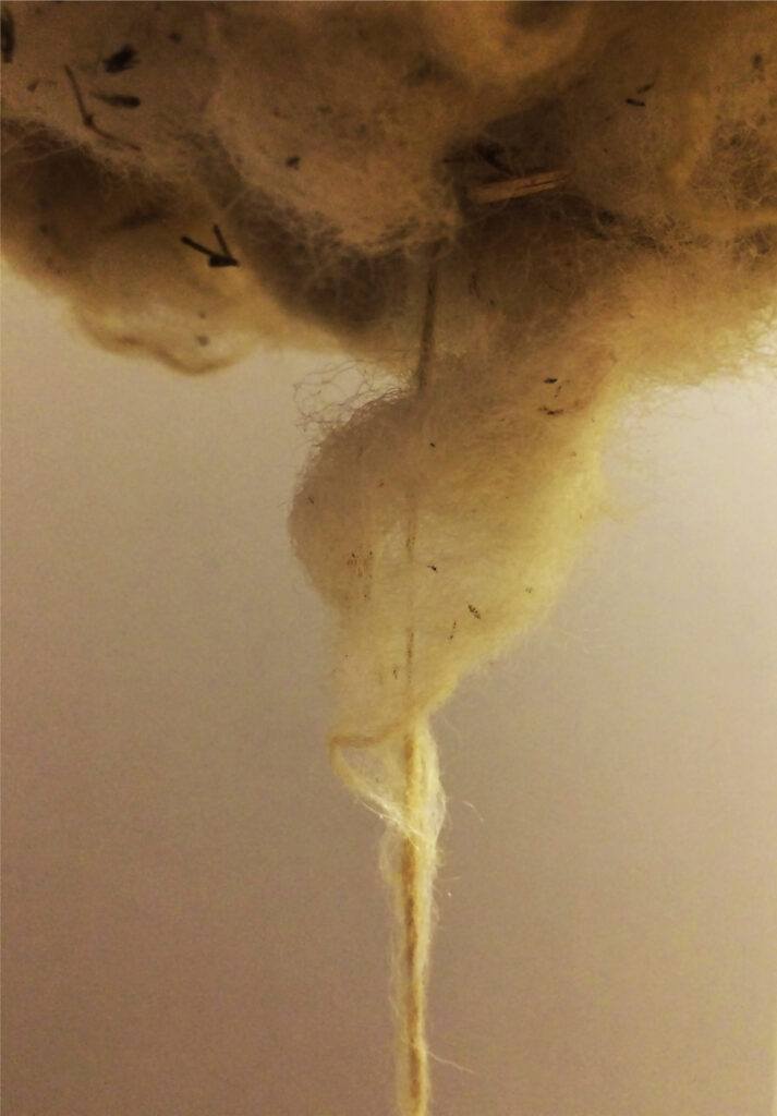 Pensum, 2018, lana, fuso di legno, misure variabili (dettaglio) - Lucia Bonomo - courtesy of the artist
