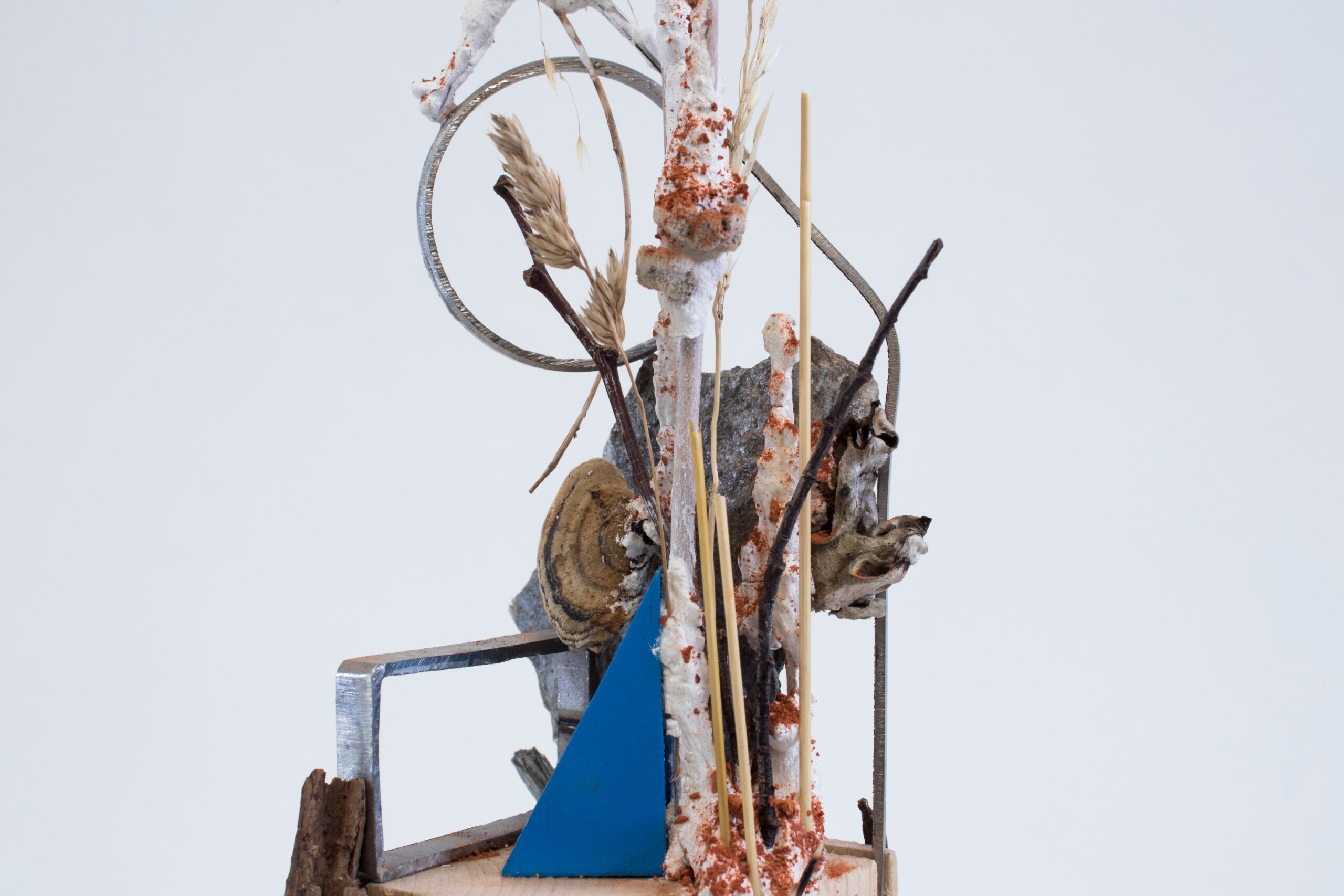 Compost-Scultura 4, 2020-20x13x24h cm - Camilla Alberti - courtesy of the artist