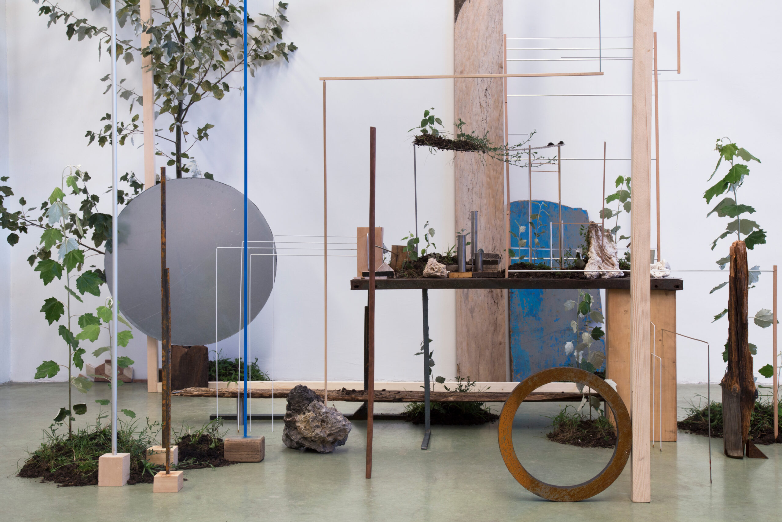Fuochi di mezza estate, 2019 - Installazione 1 - 300x300x230h cm - Camilla Alberti - courtesy of the artist