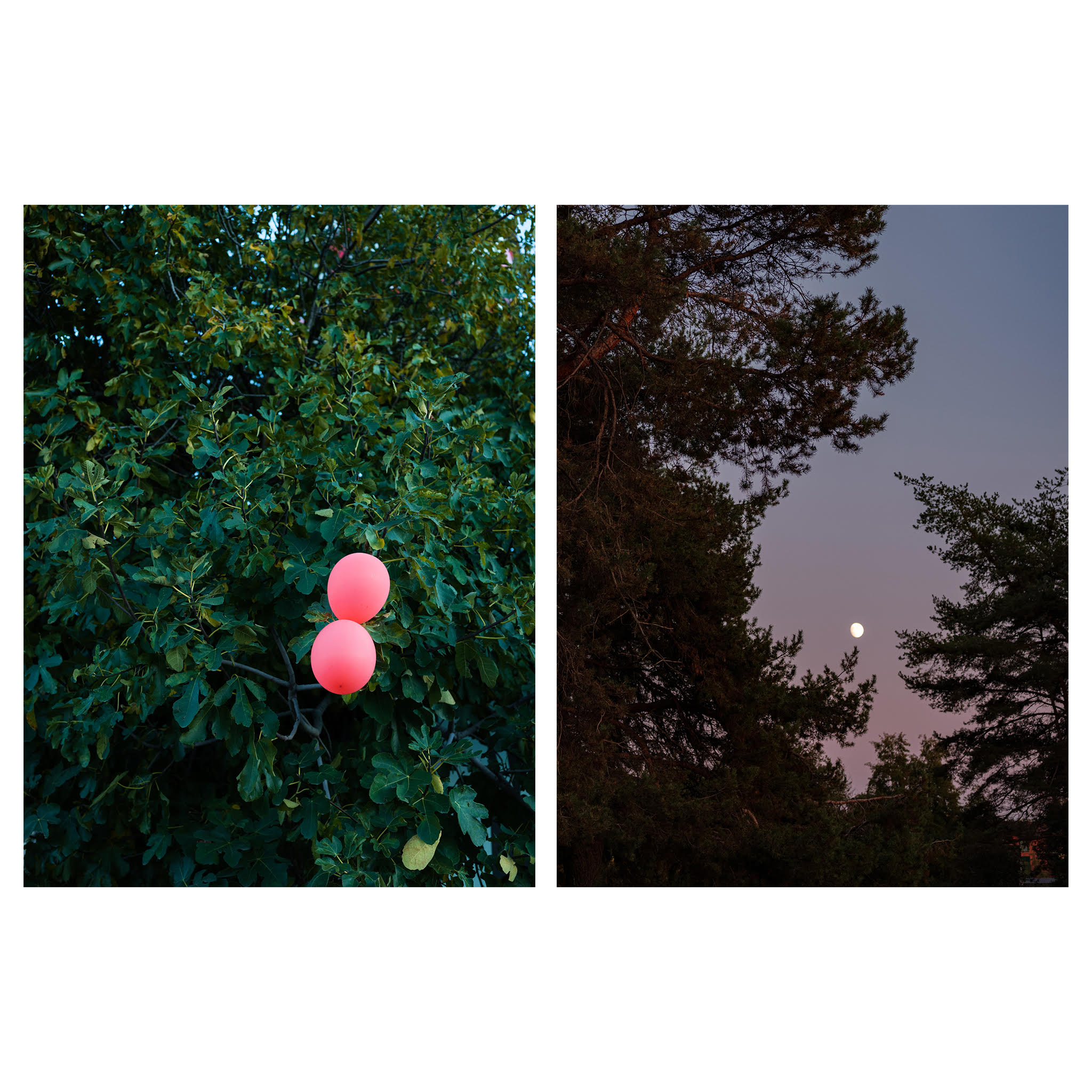 Ironic days, 2019 - Davide D'Ambra - courtesy of the artist