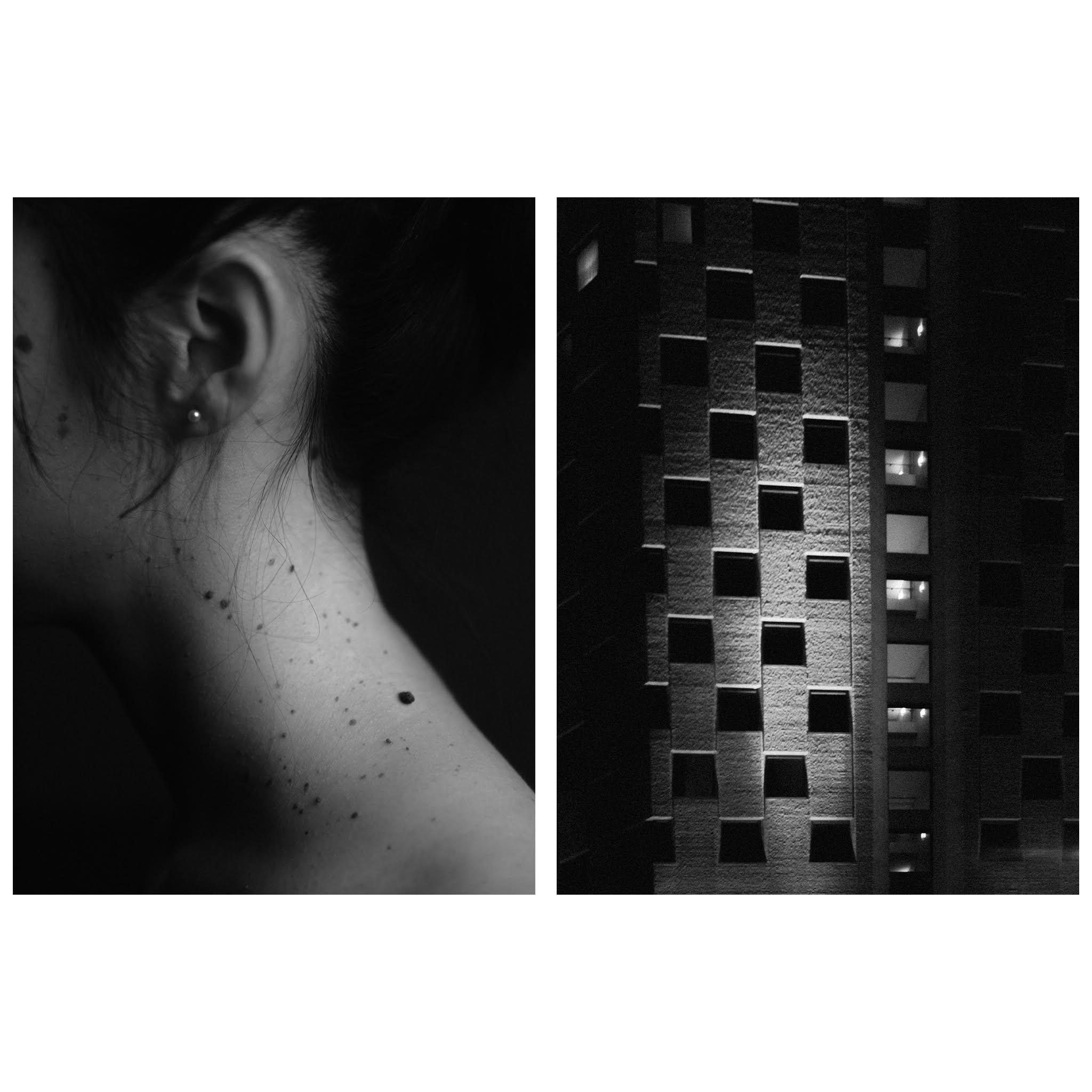 Moles, 2018 + 2016 - Davide D'Ambra - courtesy of the artist