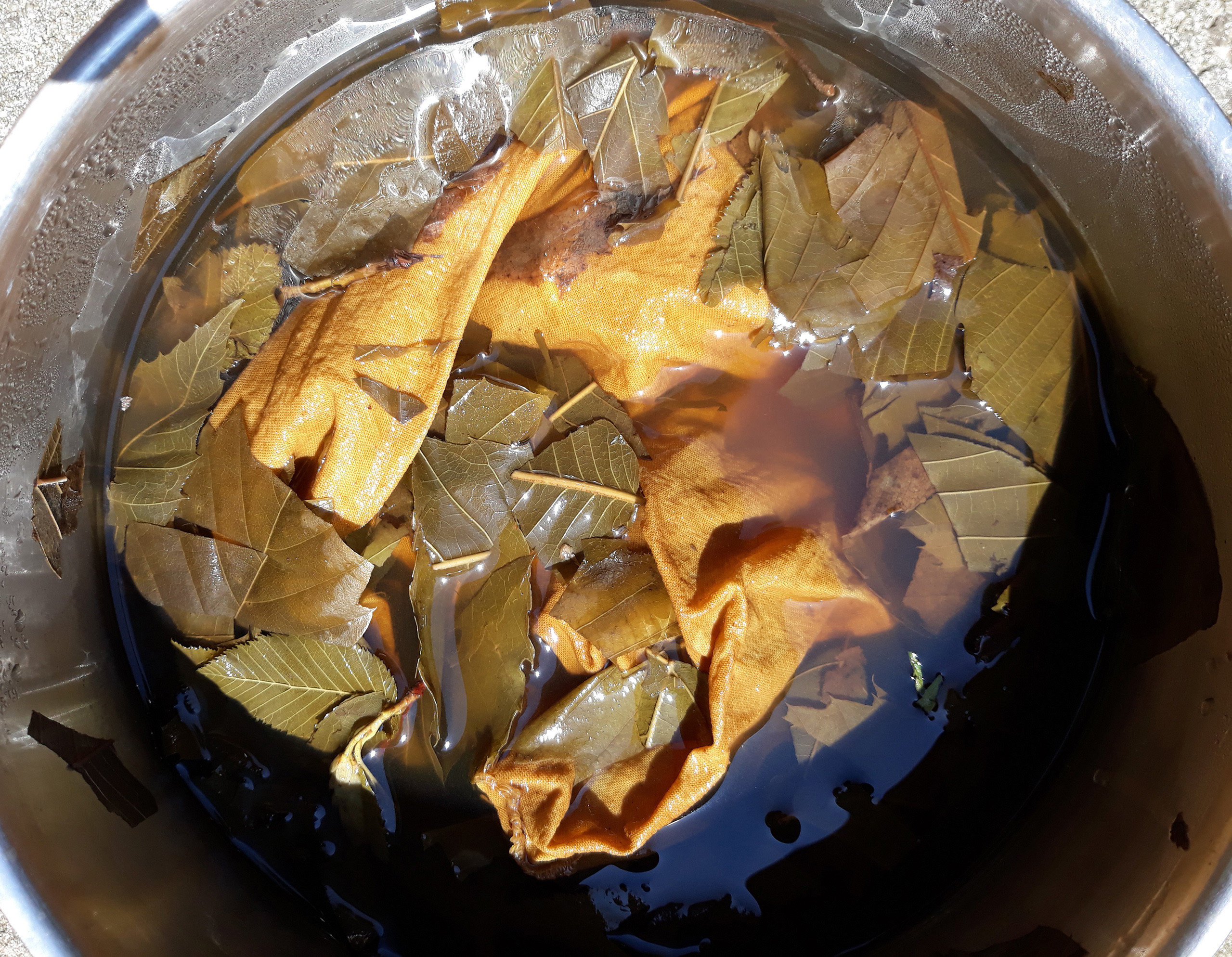 processi di raccolta del meteriale da tintura, Terre, ongoing project - Miriam Del Seppia - cortesia dell'artista