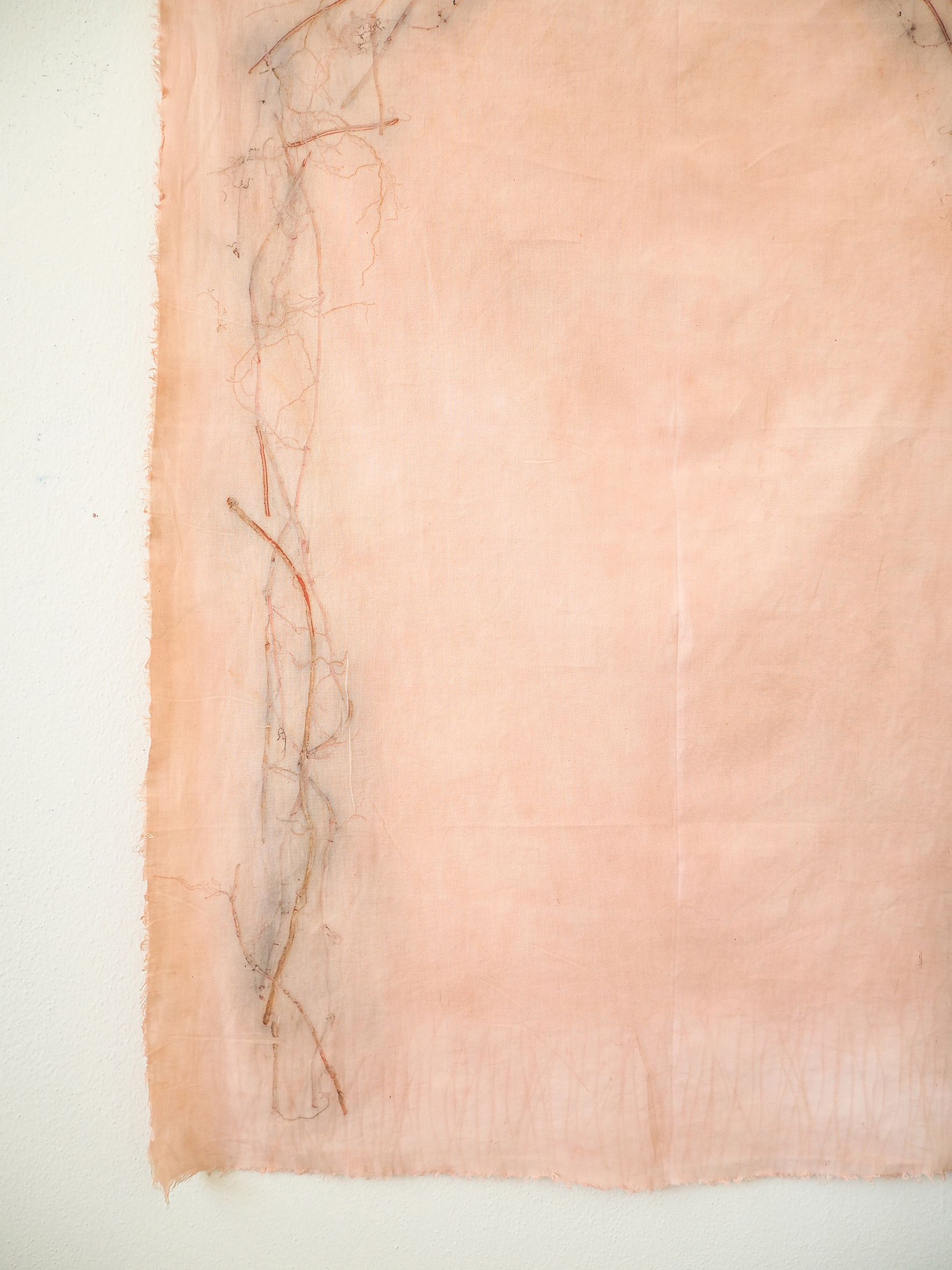 tintura vegetale e stampa vegetale su cotone di recupero, ongoing project -
Miriam Del Seppia - cortesia dell'artista