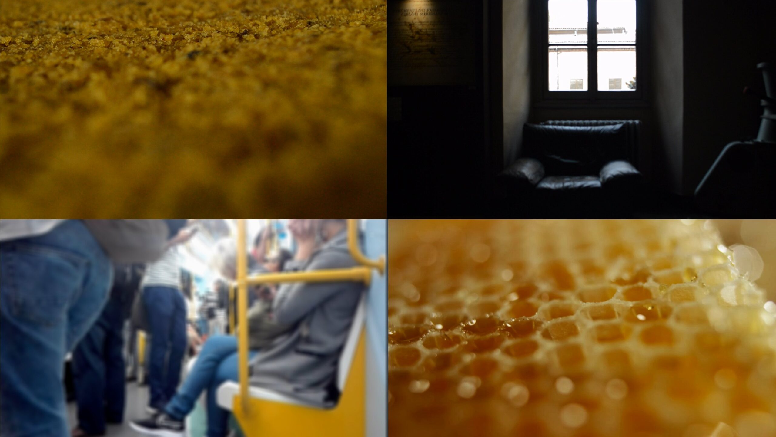 UNO, FORSE NESSUNO, 2019, still da video Museo astronomico di Brera (MI) video di documentazione - Marta Longa - courtesy of the artist