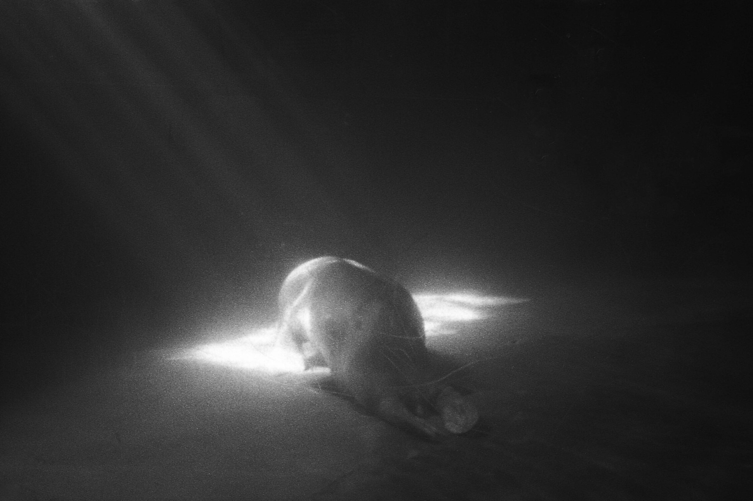 Achiropita, 2017 Silver gelatin print; variable dimensions - Lidia Bianchi - courtesy of the artist