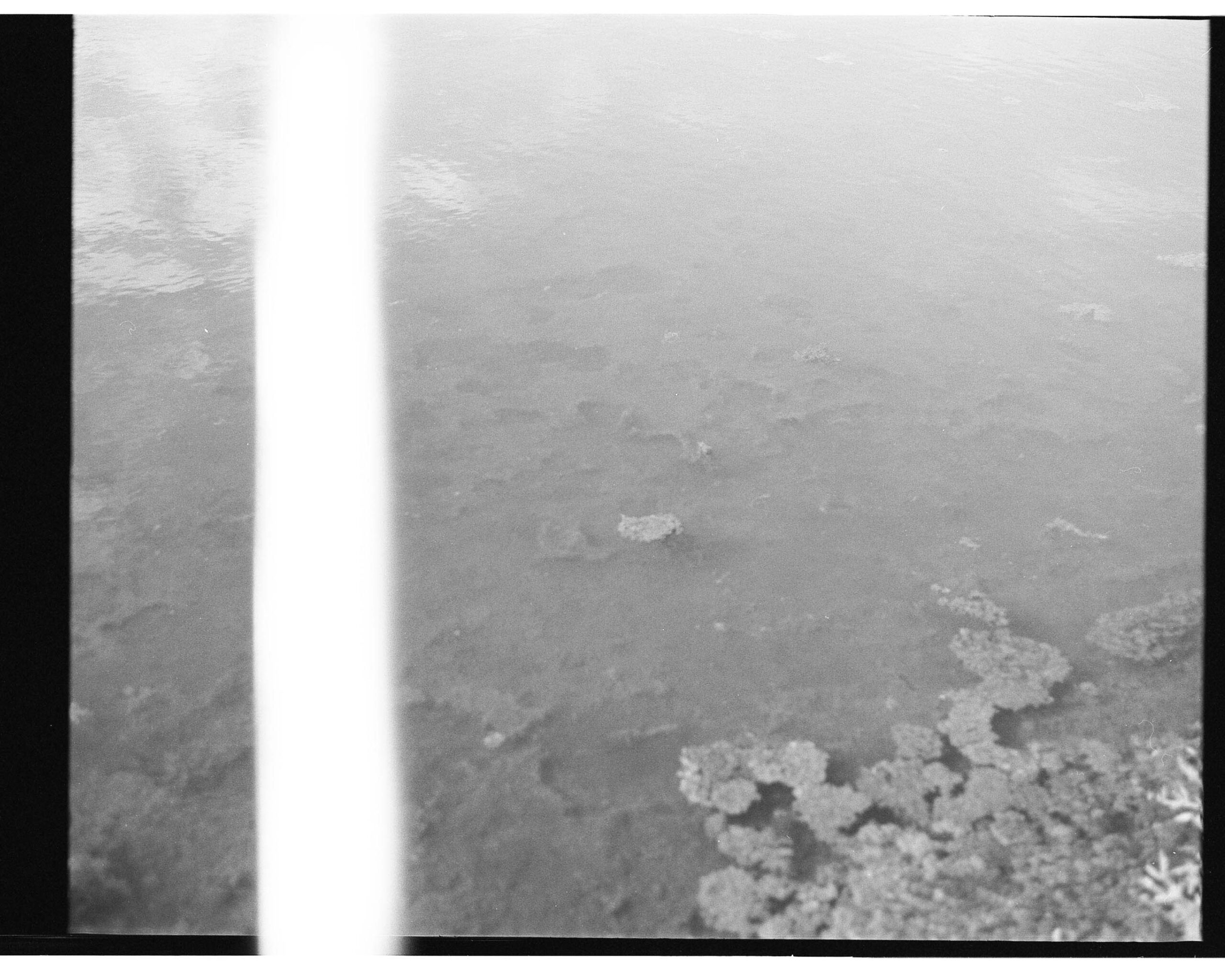 Eea, 2020 Silver gelatin print; variable dimensions - Lidia Bianchi - courtesy of the artist