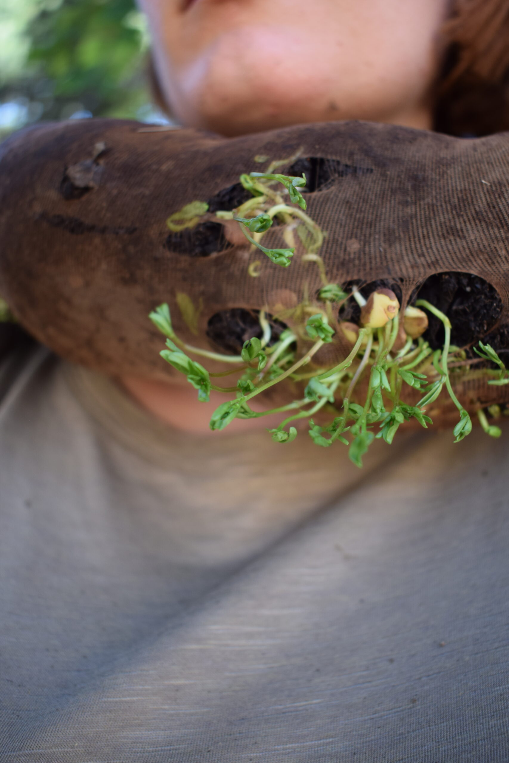 Germinazione umana, scultura site specific realizzata con collant, humus e semi siculi, 2020 - Noemi Mirata - courtesy of the artist