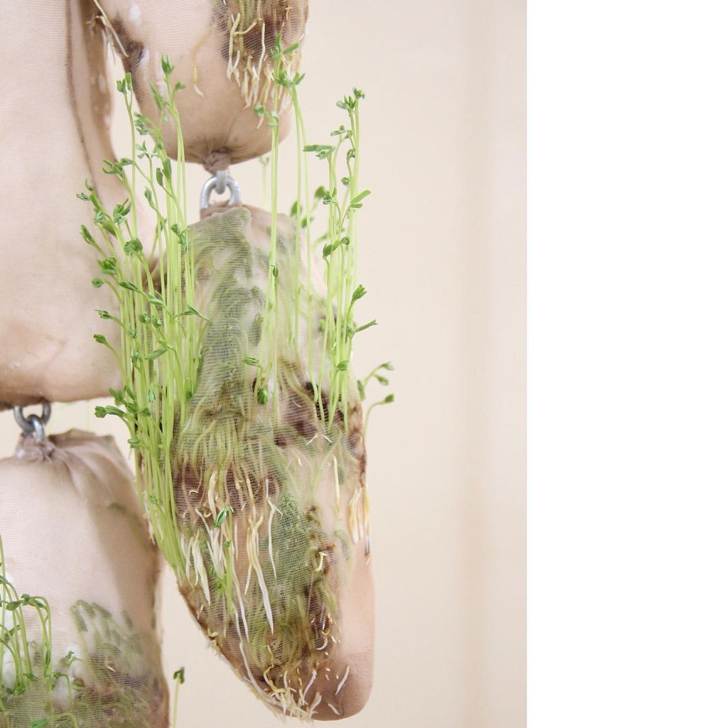 Radici, scultura in legno,malta e acciaio, ricoperta di colant, cotone e semi siculi, 2019 - Noemi Mirata - courtesy of the artist