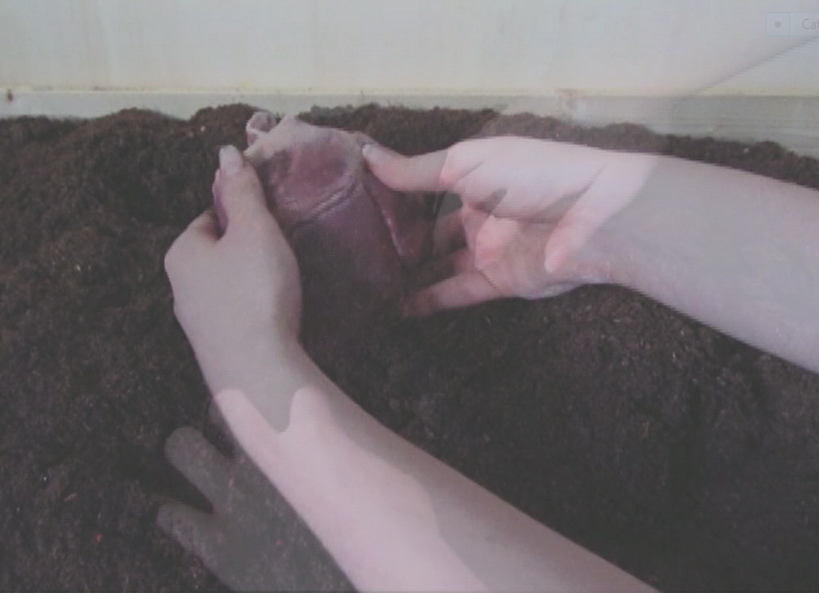 Rimembranze germinali, videoinstallazione, 2015-2016 - Noemi Mirata - courtesy of the artist